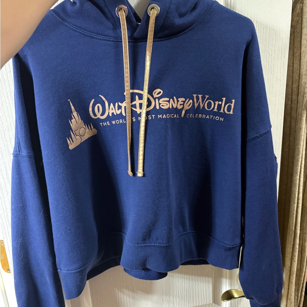 Walt Disney World Blue Hoodie